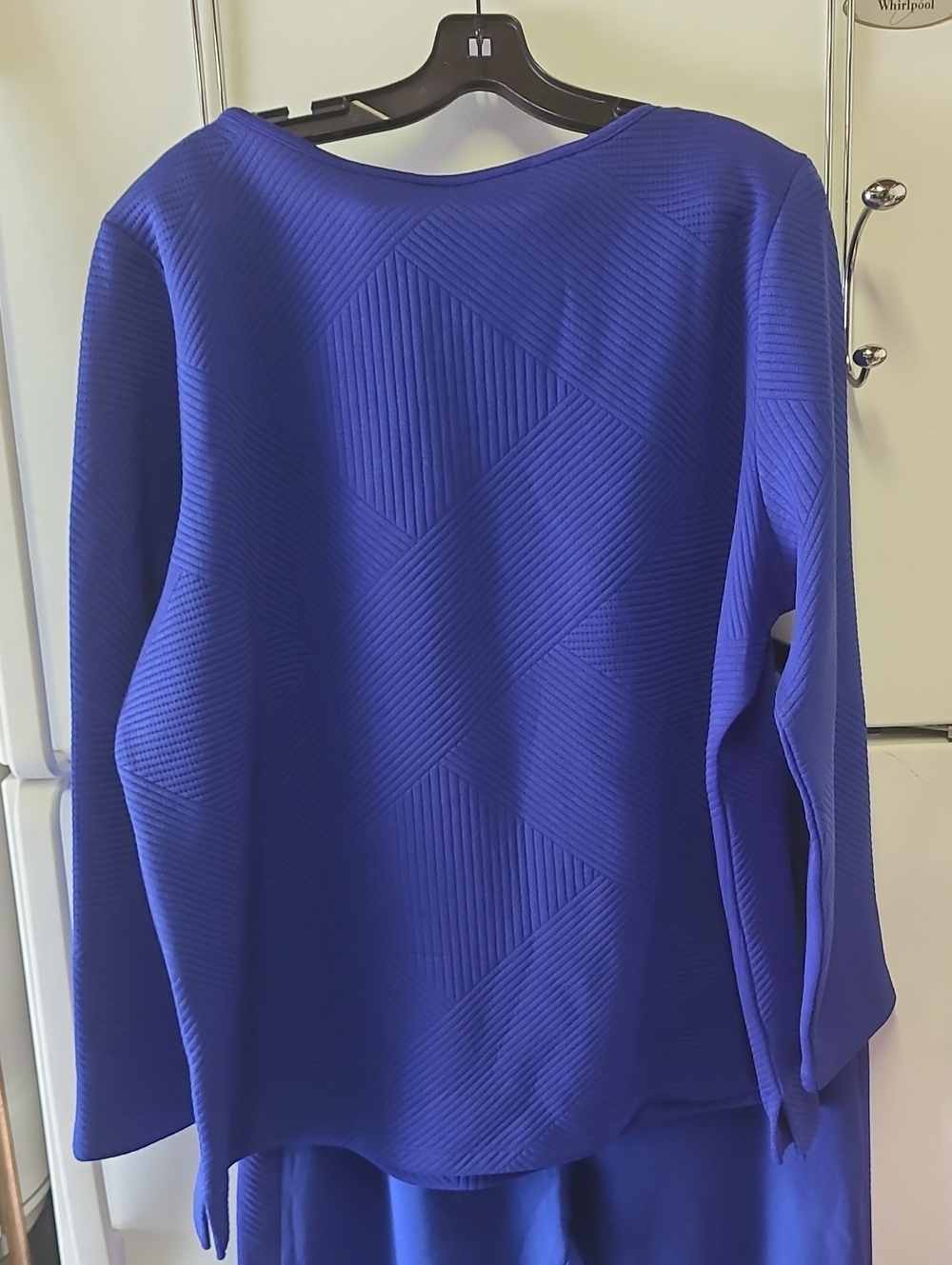 Vibrant Royal Blue Textured Long-Sleeve Top